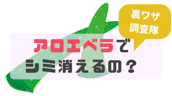 手のシミを薄くするにはアロエがオススメ その効果をまとめました